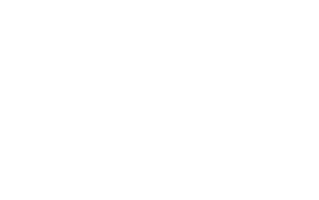 Professional Pickleball Association