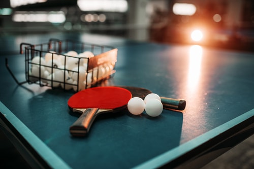 ping pong/ table tennis equipment